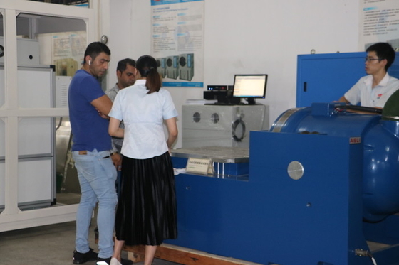 Padrão eletrônico de Ista da reunião do banco do teste de vibração IEC62133 para a bateria de lítio