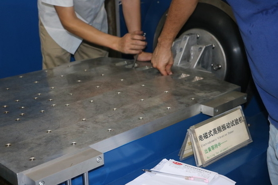 O abanador de alta frequência da vibração para peças de automóvel encontra ISO 13355, ISTA 3A e ISTA 6 - Amazonas